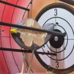 Carte abat l'oiseau 2025 touchée